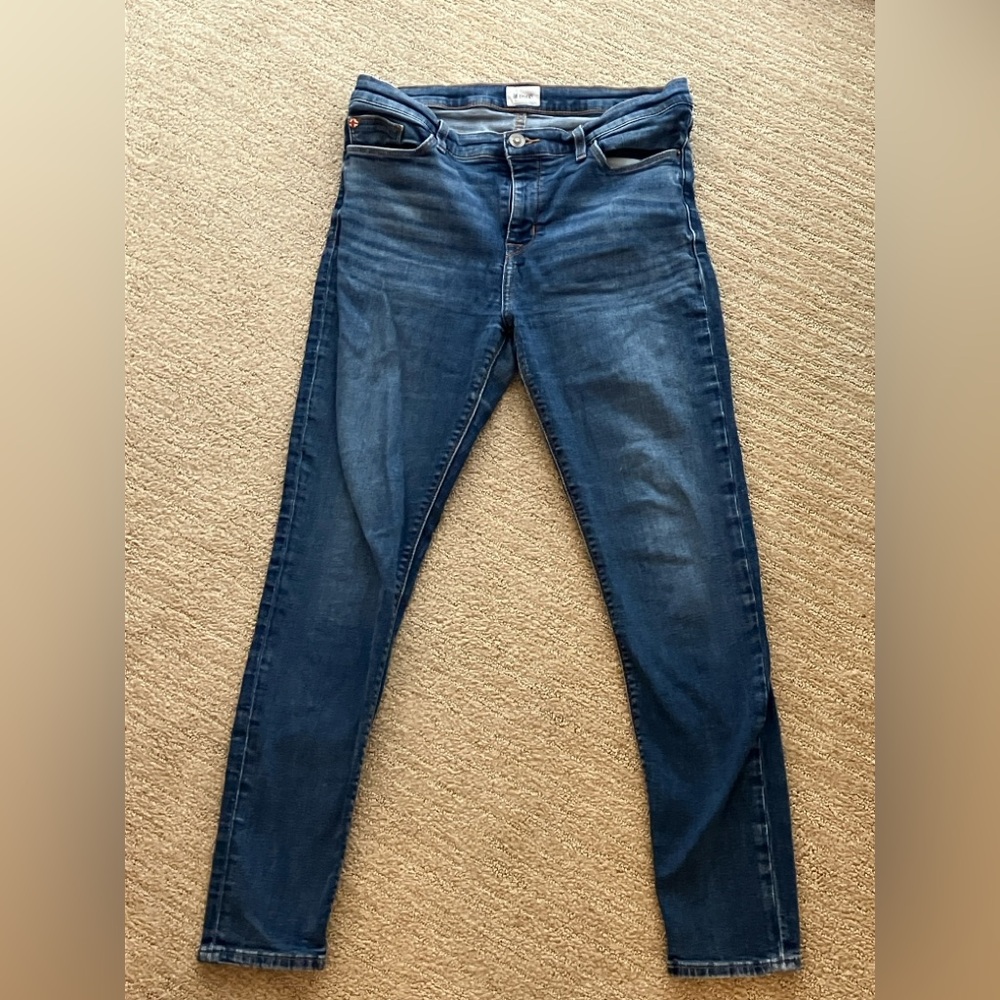 Hudson Jeans Blue Skinny Denim